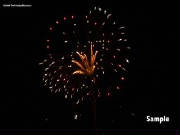 fireworks11.jpg